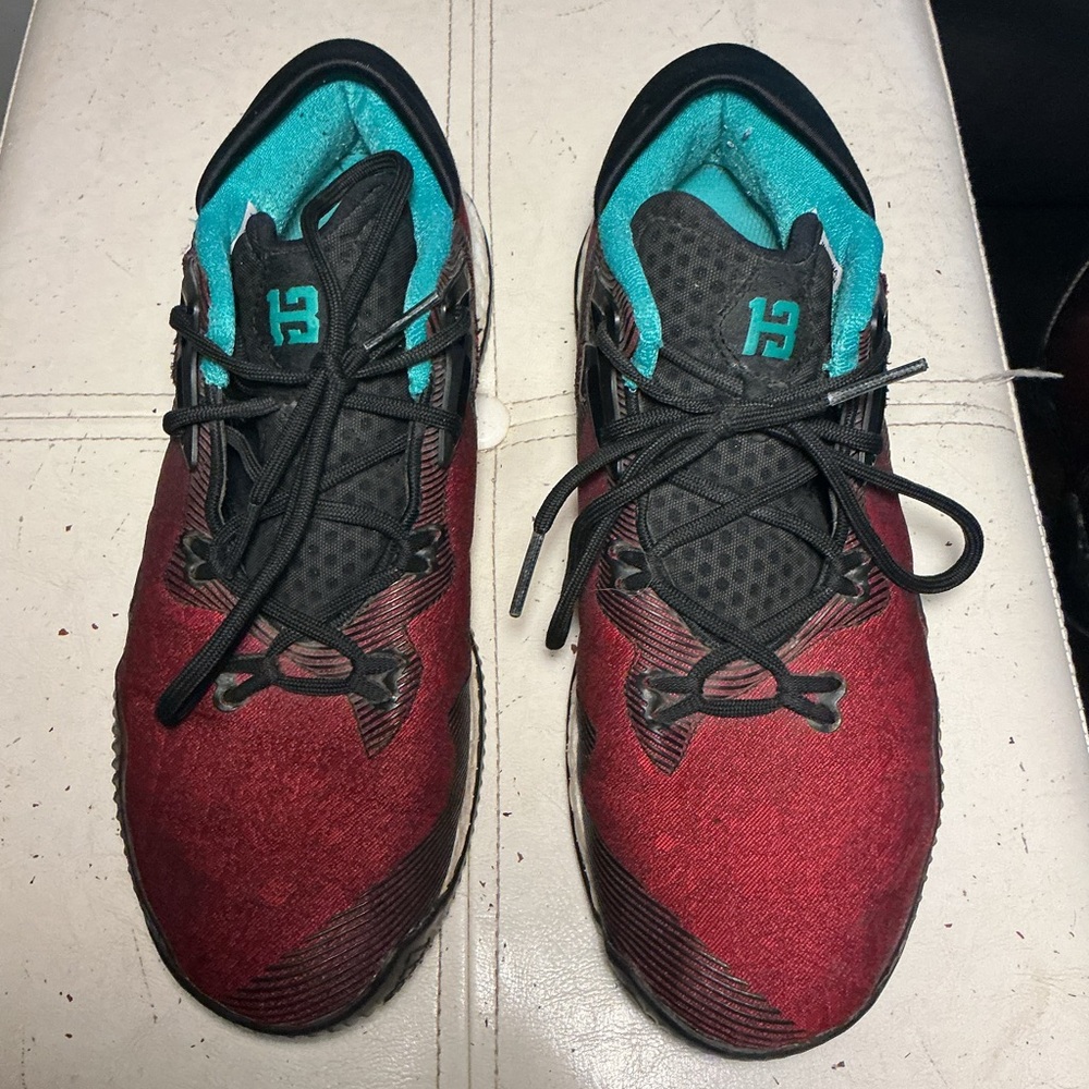 Burgundy Sneakers with Teal Interior